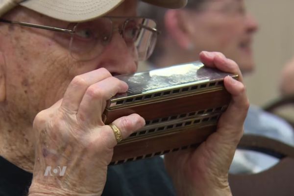 Best Harmonica Brands for Beginners